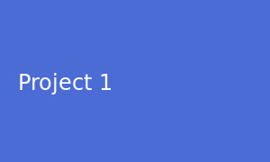 Project 1