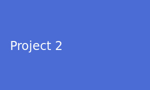 Project 2